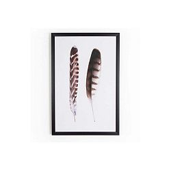 Obraz Graham & Brown Feather Couple, 40 x 60 cm