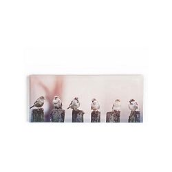 Obraz Graham & Brown Morning Tweets, 100 x 40 cm