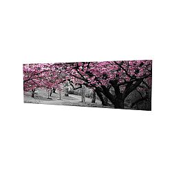 Obraz na plátně Cherry Blossom, 80 x 30 cm