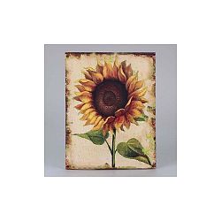 Obraz na plátně Dakls Sunflower