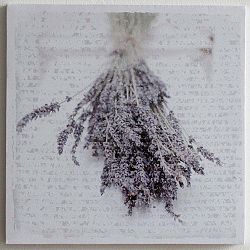 Obraz na plátně Lavende, 28x28 cm