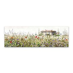 Obraz na plátně Styler Grasses, 140 x 45 cm