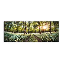 Obraz na plátně Styler Spring, 150 x 60 cm