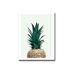 Obraz Onno Ananas, 30 x 40 cm