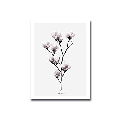 Obraz Onno Flower, 30 x 40 cm