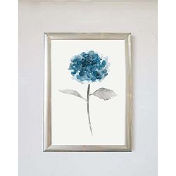Obraz Piacenza Art Chrystantem, 30 x 20 cm