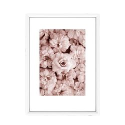 Obraz Piacenza Art Roses In Rosé, 30 x 20 cm