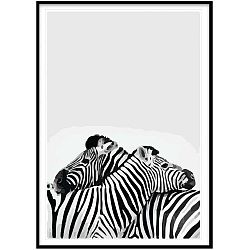 Obraz Piacenza Art Two Zebra, 30 x 20 cm