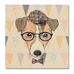 Obraz Really Nice Things Senior, 50 x 50 cm