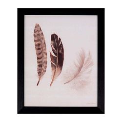 Obraz sømcasa Feathers, 25 x 30 cm