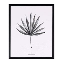 Obraz sømcasa Palm, 25 x 30 cm