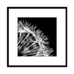 Obraz Styler Artbox Dandel II, 50 x 50 cm