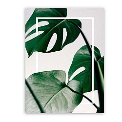 Obraz Styler Canvas Greenery Monstera, 60 x 80 cm