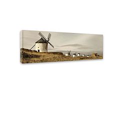Obraz Styler Canvas Harmony Field, 45 x 140 cm