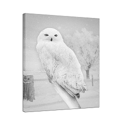 Obraz Styler Canvas Nordic Owl, 75 x 100 cm