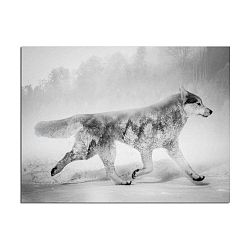 Obraz Styler Canvas Nordic Wolf, 75 x 100 cm