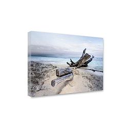 Obraz Styler Canvas Sand Branch, 85 x 113 cm