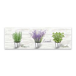 Obraz Styler Canvas Shabby Herbs, 27 x 75 cm