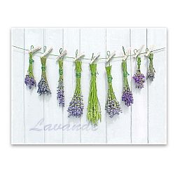 Obraz Styler Canvas Shabby Herbs, 60 x 80 cm