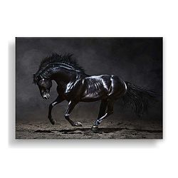 Obraz Styler Canvas Silver Uno Horse, 85 x 113 cm