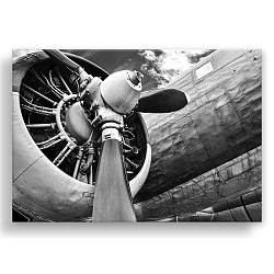 Obraz Styler Canvas Silver Uno Plane, 85 x 113 cm