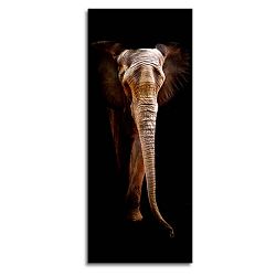 Obraz Styler Elephant, 125 x 50 cm