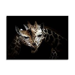 Obraz Styler Glas Animals Giraffe, 70 x 100 cm