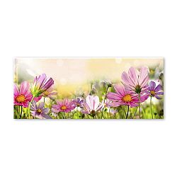 Obraz Styler Glas Flowers Astry, 50 x 125 cm