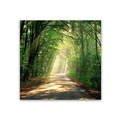 Obraz Styler Glas Nature Road, 30 x 30 cm