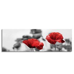 Obraz Styler Glas Red Poppy, 50 x 125 cm
