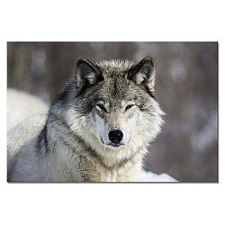 Obraz Styler Glasspik Animal Wolf, 80 x 120 cm
