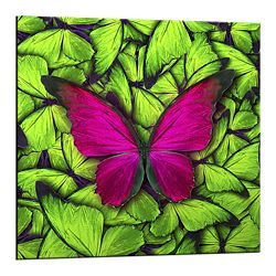 Obraz Styler Glasspik Green Butterfly, 20 x 20 cm