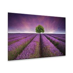 Obraz Styler Glasspik Levandule, 80 x 120 cm