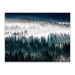 Obraz Styler Glasspik Misty Forest, 80 x 120 cm