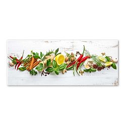 Obraz Styler Glasspik Shabby Herbs, 30 x 80 cm