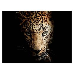 Obraz Styler Leopard, 100 x 75 cm