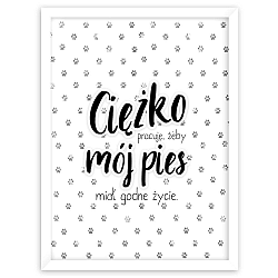 Obraz Styler Pies, 30 x 40 cm