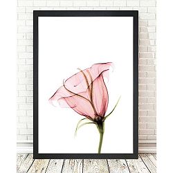 Obraz Tablo Center Bloom, 24 x 29 cm