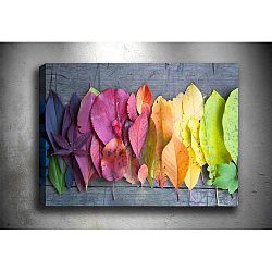 Obraz Tablo Center Gradient Leaves, 70 x 50 cm