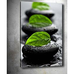Obraz Tablo Center Green Leaf, 40 x 60 cm
