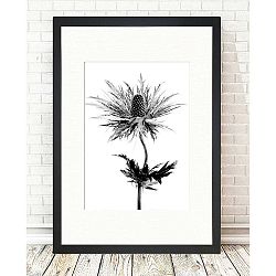 Obraz Tablo Center Thistle Vibes, 24 x 29 cm
