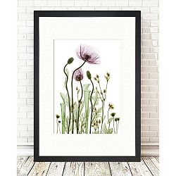 Obraz Tablo Center Wild Plants, 24 x 29 cm