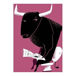 Obraz Toros, 45 x 70 cm