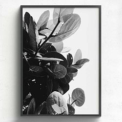 Obraz v dřevěném rámu HF Living Banes, 50 x 70 cm