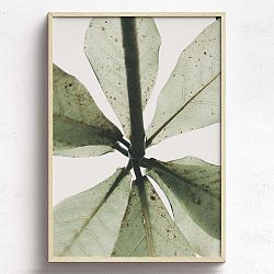 Obraz v dřevěném rámu HF Living Tefia, 21 x 30 cm