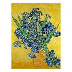 Obraz Vincenta van Gogha - Irises, 60x45 cm