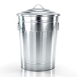 Odpadkový koš ve stříbrné barvě Tomasucci America