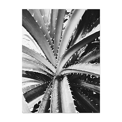 Plakát HF Living Botanic Bush, 30 x 40 cm