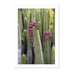 Plakát HF Living Botanic Hide, 50 x 70 cm