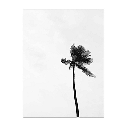 Plakát HF Living Botanic Palms, 30 x 40 cm